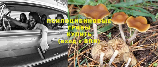 mix Няндома