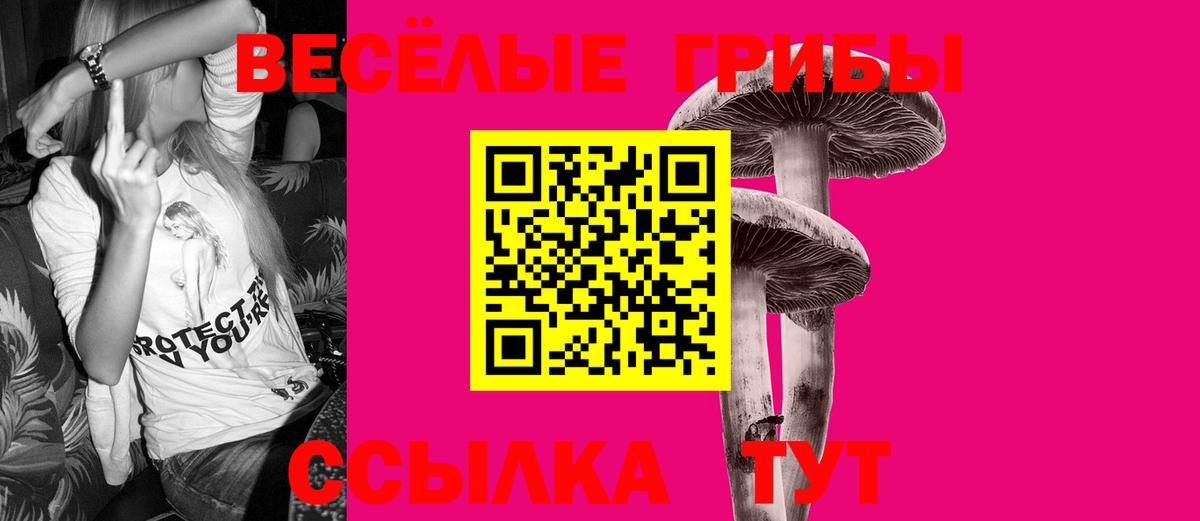 Галлюциногенные грибы прущие грибы  Вход с VPN  Алексеевка 