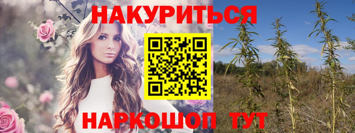 Канабис VHQ  Вход с VPN  Конопля AK-47  Алексеевка  Марихуана семена  Канабис Ganja 